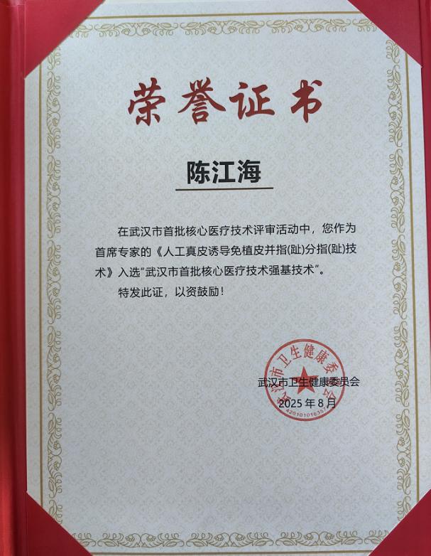 人工真皮诱导免植皮并指分指技术荣誉证书